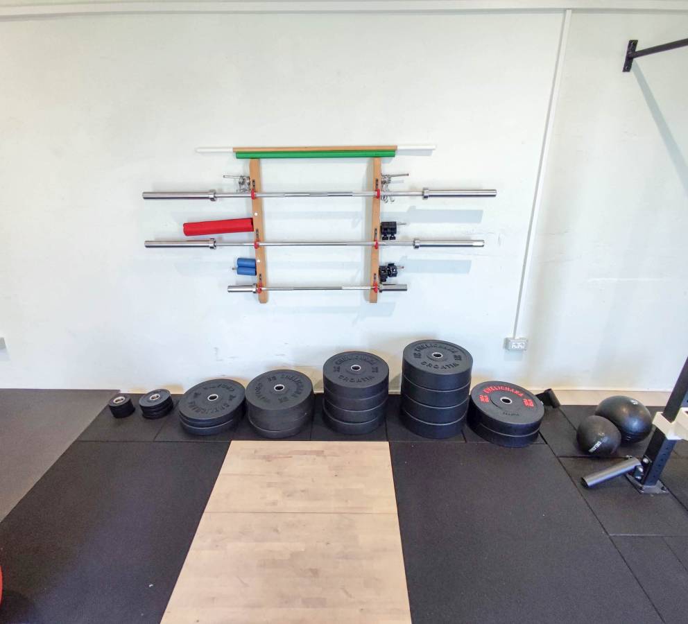 Gym bumper weights